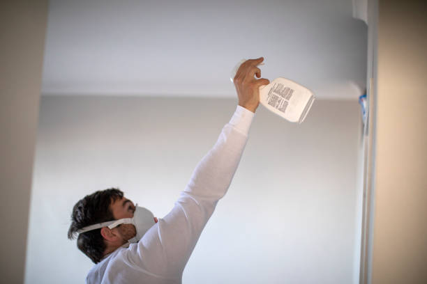 Best Emergency Mold Remediation in Marlette, MI