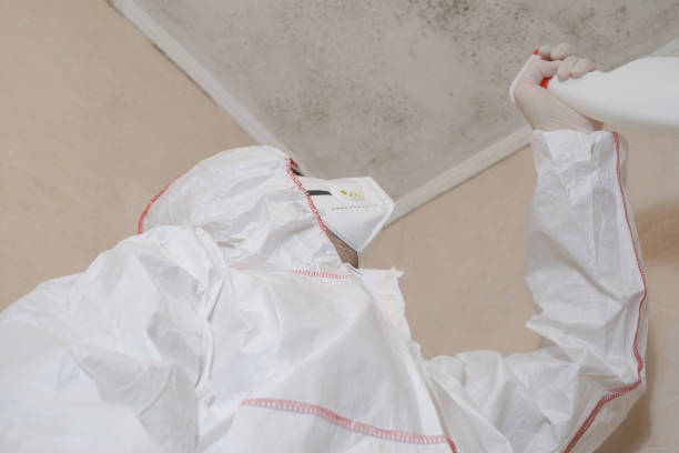 Best Emergency Mold Remediation in Marlette, MI